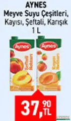 AYNES MEYVE SUYU ÇEŞİTLERİ 1 L fiyat ve kampanya bilgisi
